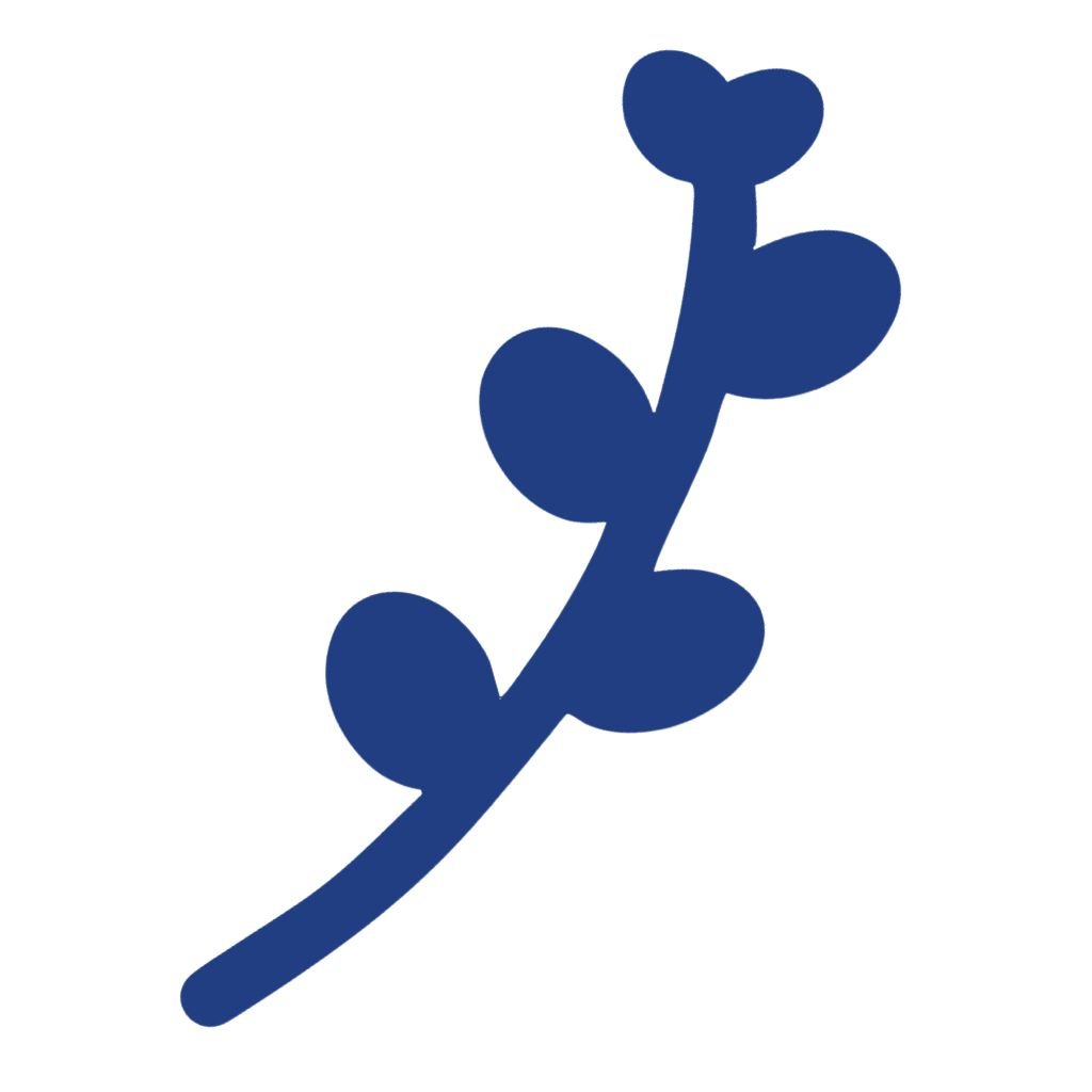 Visual Identity the Sooke (2)