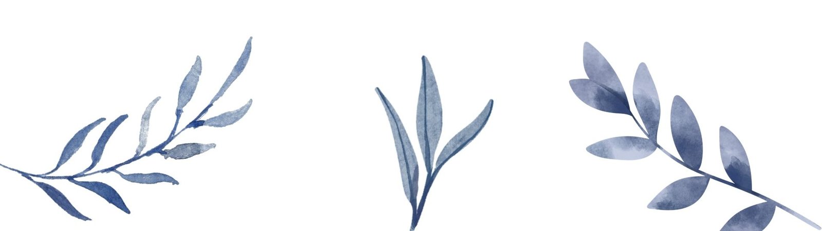 Alt Banner